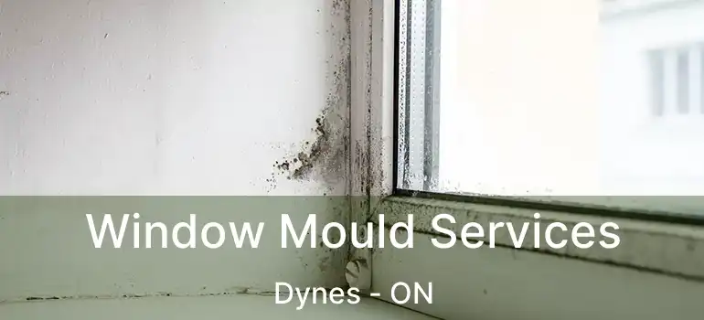  Window Mould Services Dynes - ON