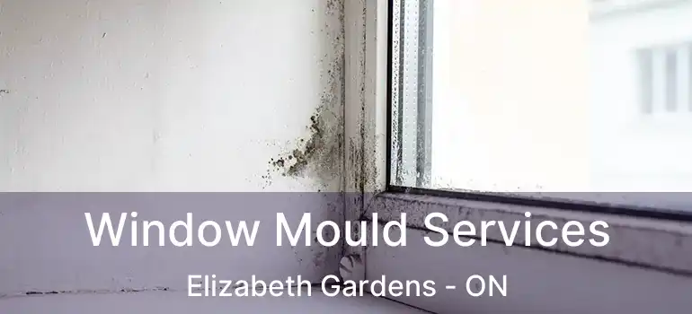  Window Mould Services Elizabeth Gardens - ON