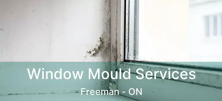  Window Mould Services Freeman - ON