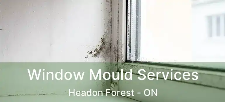  Window Mould Services Headon Forest - ON