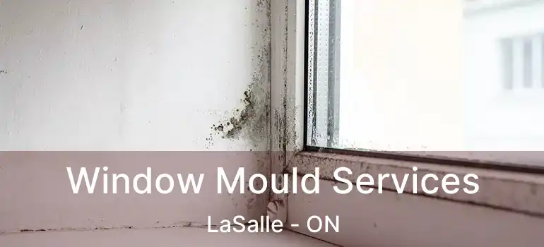  Window Mould Services LaSalle - ON
