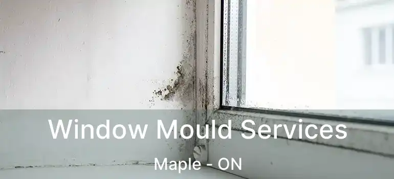  Window Mould Services Maple - ON