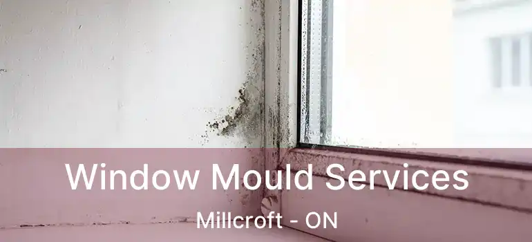  Window Mould Services Millcroft - ON