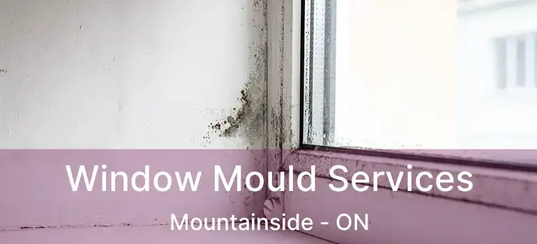  Window Mould Services Mountainside - ON