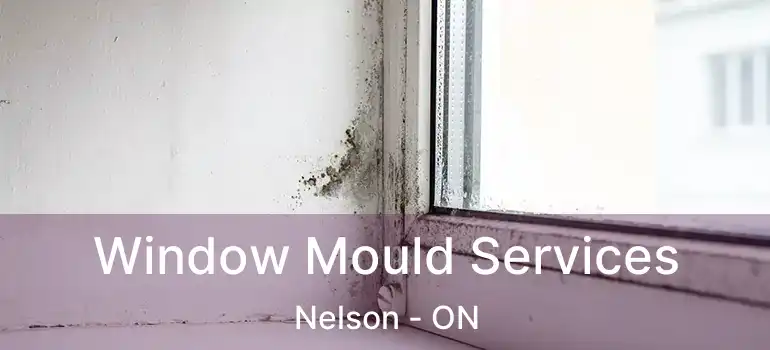  Window Mould Services Nelson - ON