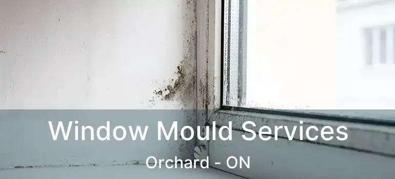  Window Mould Services Orchard - ON