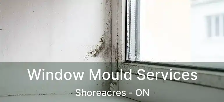  Window Mould Services Shoreacres - ON
