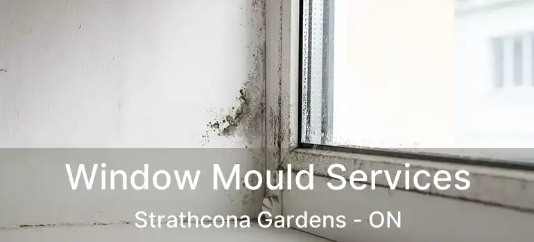  Window Mould Services Strathcona Gardens - ON
