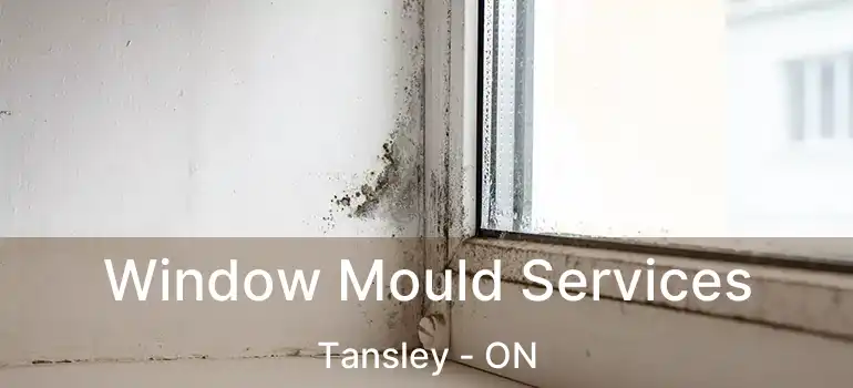  Window Mould Services Tansley - ON