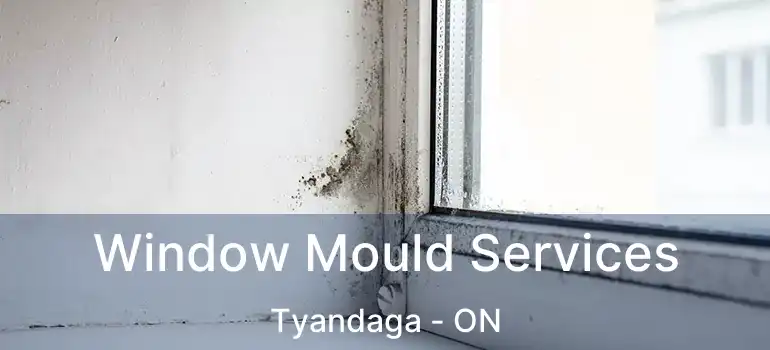  Window Mould Services Tyandaga - ON