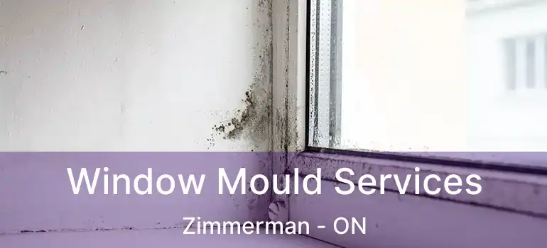  Window Mould Services Zimmerman - ON