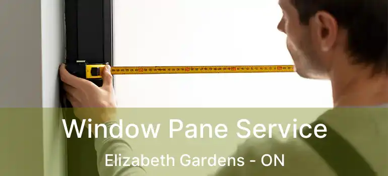  Window Pane Service Elizabeth Gardens - ON