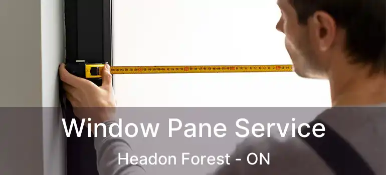  Window Pane Service Headon Forest - ON
