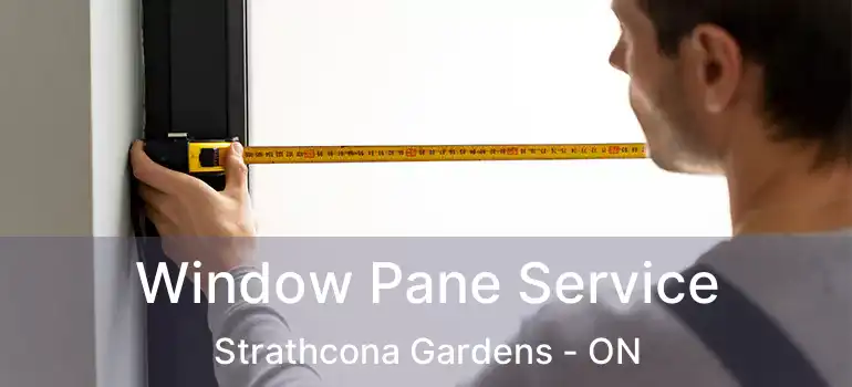  Window Pane Service Strathcona Gardens - ON
