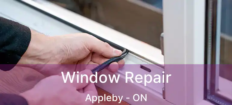  Window Repair Appleby - ON