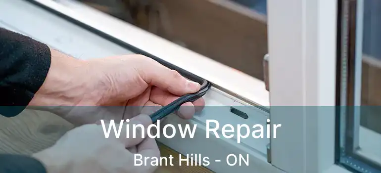  Window Repair Brant Hills - ON
