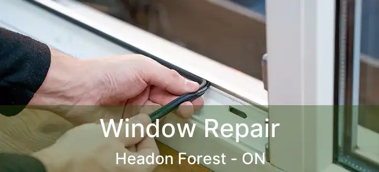  Window Repair Headon Forest - ON