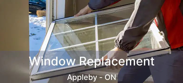  Window Replacement Appleby - ON
