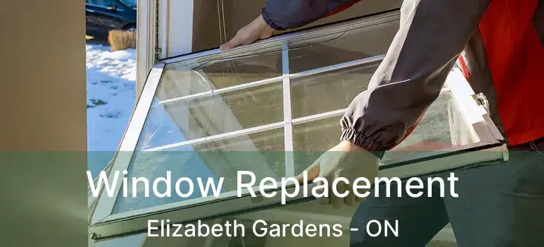  Window Replacement Elizabeth Gardens - ON