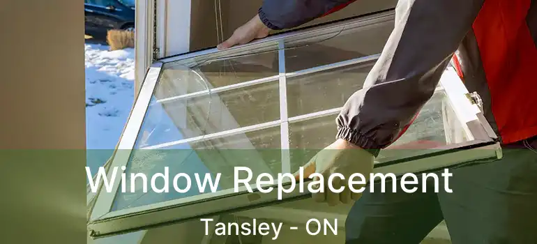  Window Replacement Tansley - ON