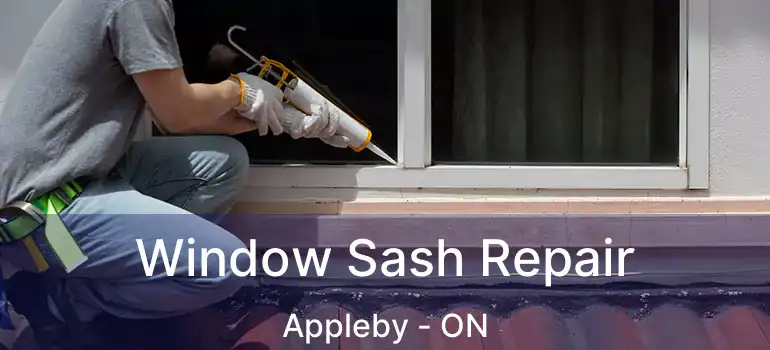  Window Sash Repair Appleby - ON