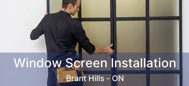 Window Screen Installation Brant Hills - ON