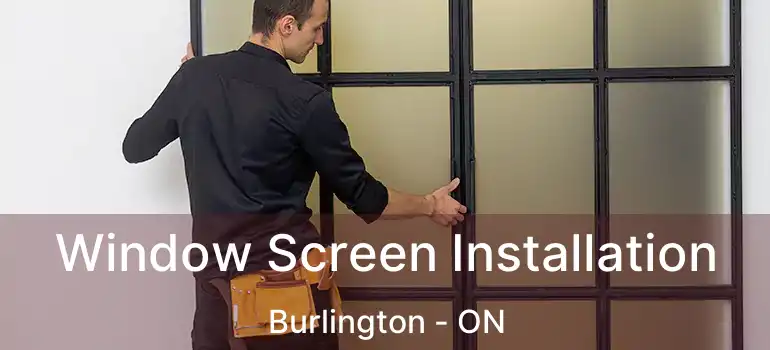  Window Screen Installation Burlington - ON