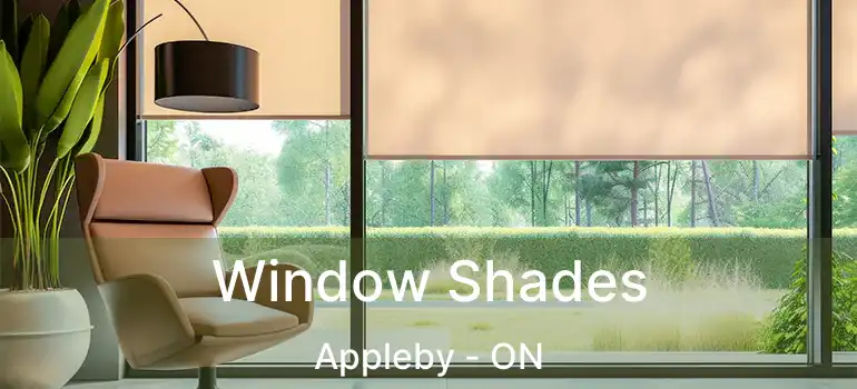  Window Shades Appleby - ON