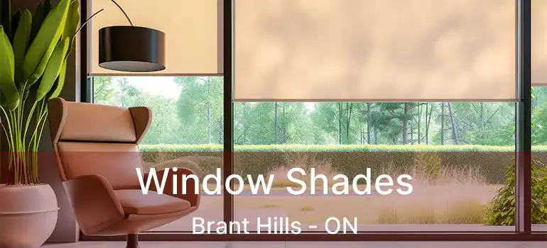  Window Shades Brant Hills - ON