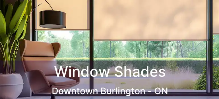  Window Shades Downtown Burlington - ON