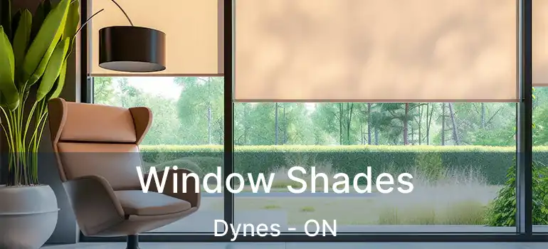  Window Shades Dynes - ON