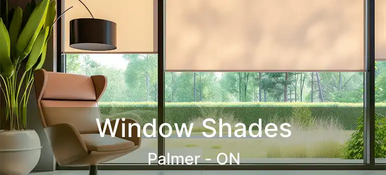  Window Shades Palmer - ON