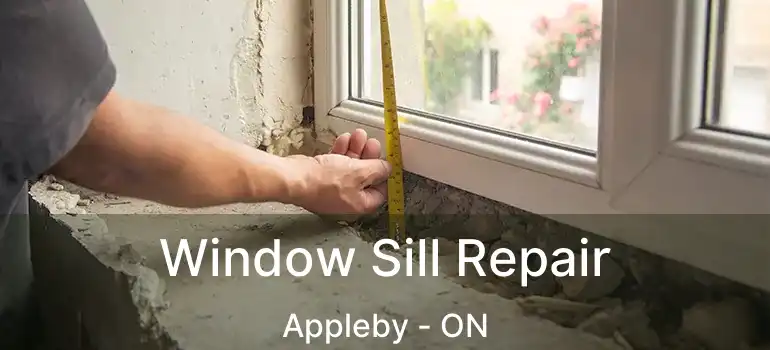  Window Sill Repair Appleby - ON