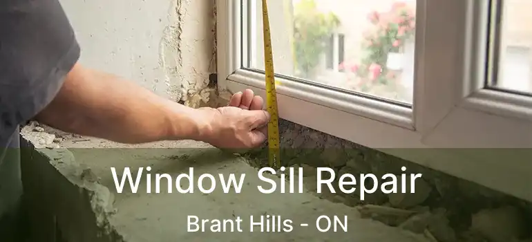  Window Sill Repair Brant Hills - ON