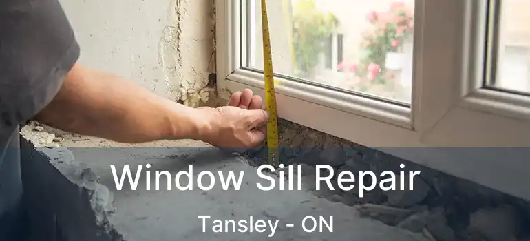  Window Sill Repair Tansley - ON