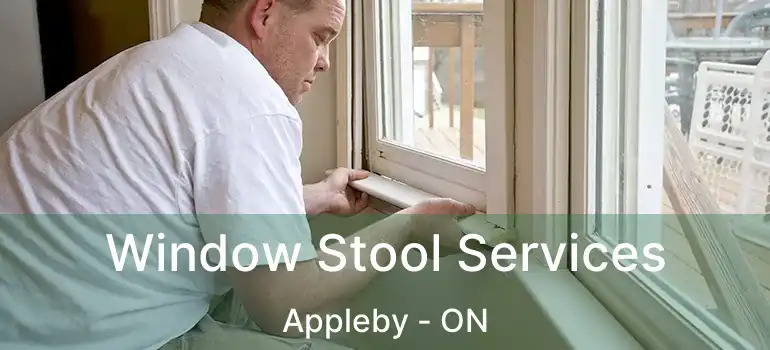  Window Stool Services Appleby - ON