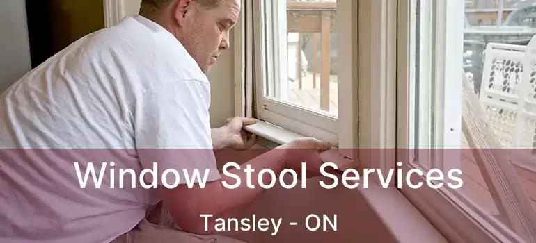  Window Stool Services Tansley - ON