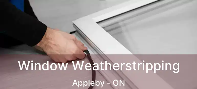  Window Weatherstripping Appleby - ON
