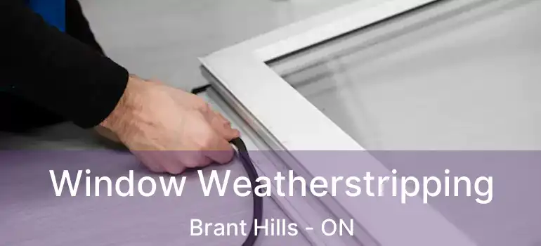  Window Weatherstripping Brant Hills - ON