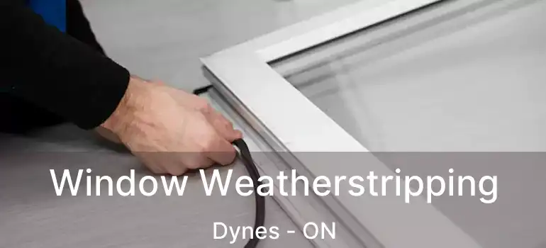  Window Weatherstripping Dynes - ON