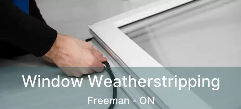  Window Weatherstripping Freeman - ON