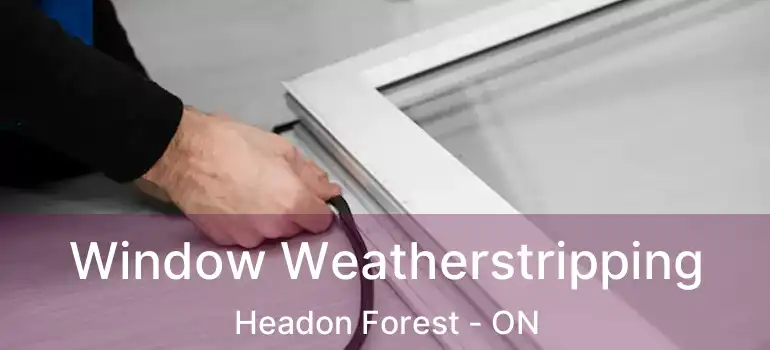  Window Weatherstripping Headon Forest - ON