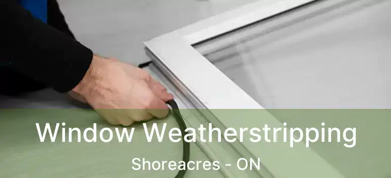  Window Weatherstripping Shoreacres - ON