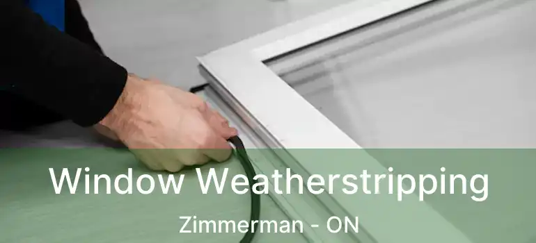  Window Weatherstripping Zimmerman - ON
