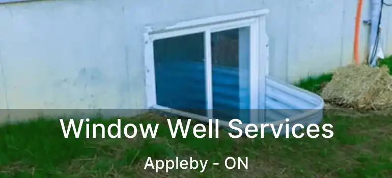  Window Well Services Appleby - ON