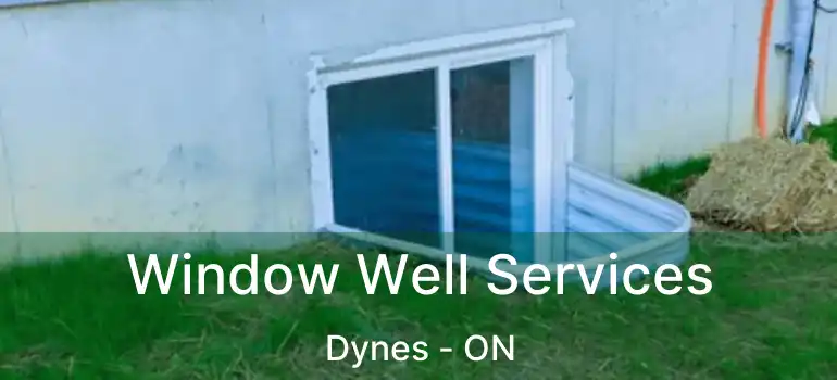  Window Well Services Dynes - ON