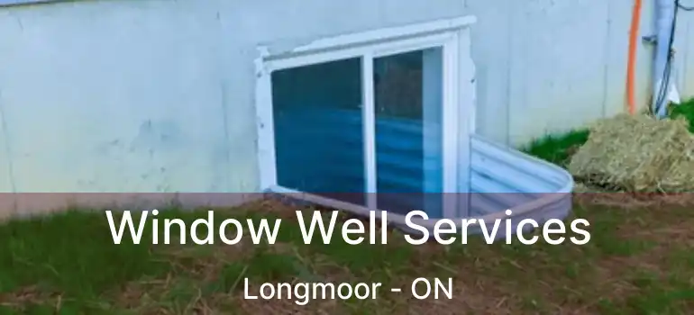  Window Well Services Longmoor - ON