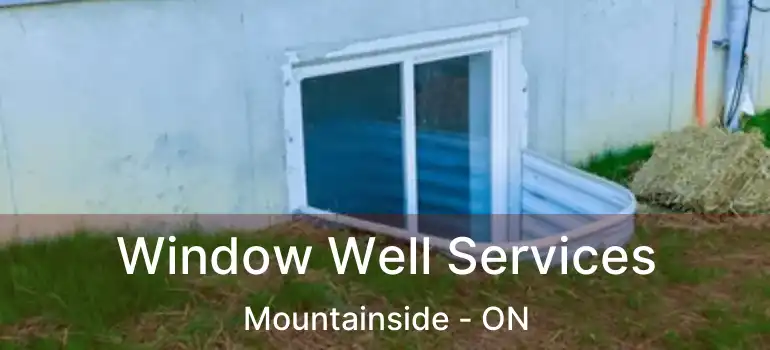  Window Well Services Mountainside - ON