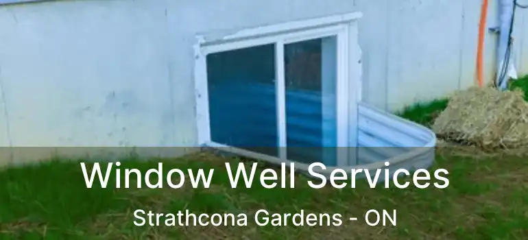  Window Well Services Strathcona Gardens - ON