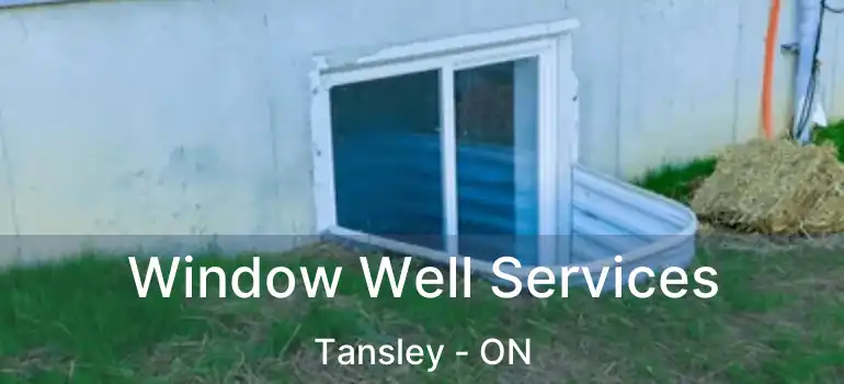  Window Well Services Tansley - ON